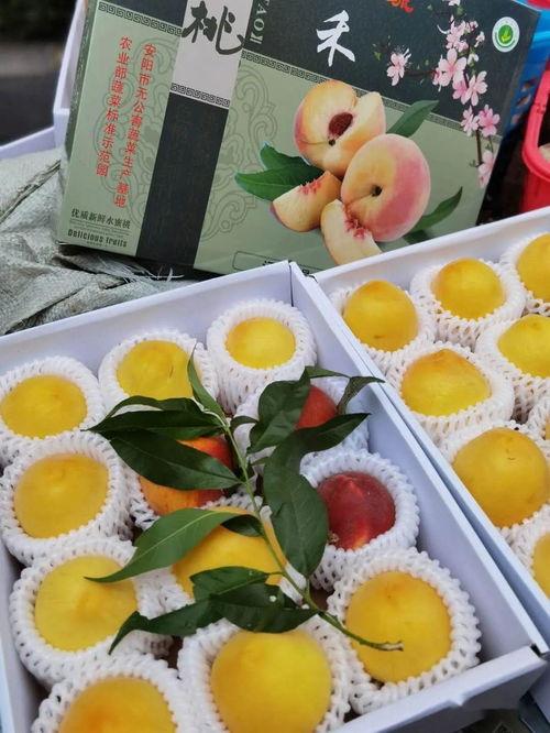 老六娱乐吃瓜,揭秘娱乐圈背后的那些事儿